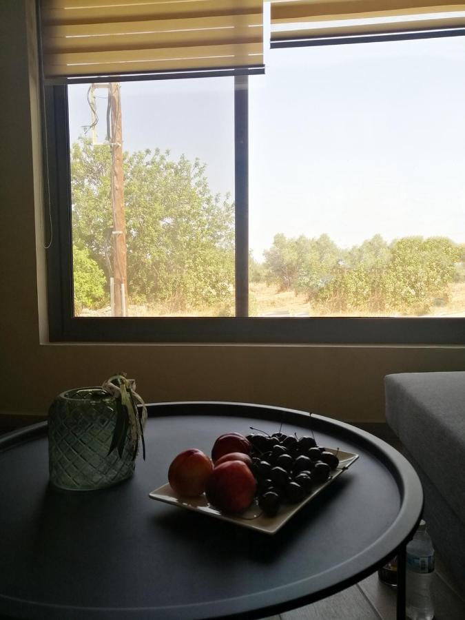 Harmony Superior Suite Apartment アルゴストリオン エクステリア 写真